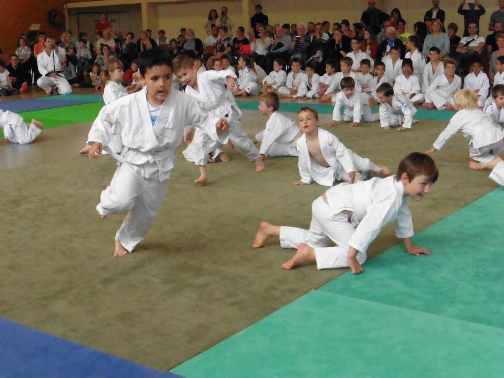 GENAS | Centaine d’enfants en démonstration lors du gala fin de saison de l’ESGA Judo