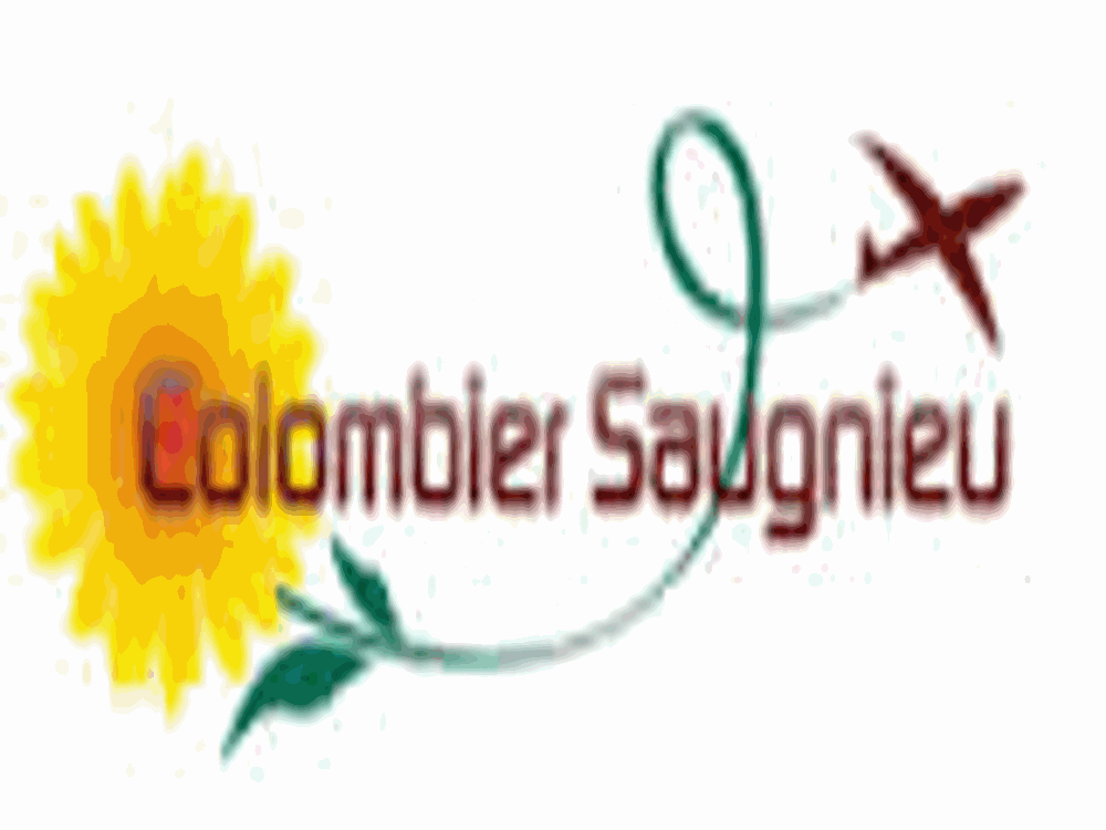 COLOMBIER-SAUGNIEU | L’agenda des manifestations à fin décembre