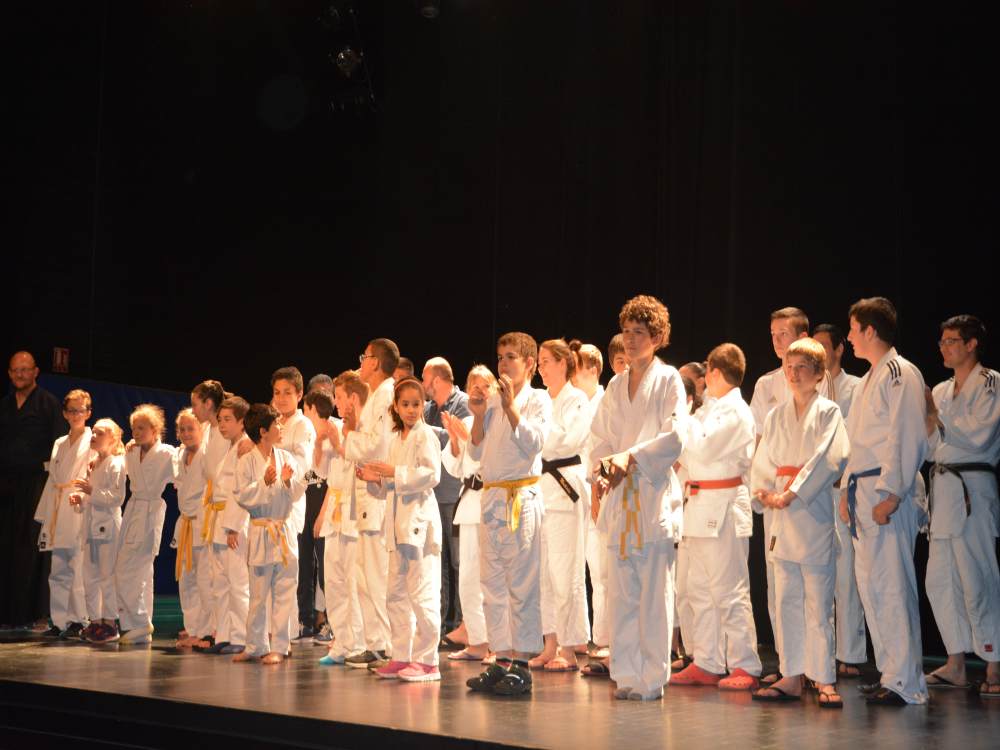 BRON | MJC > Près de 300 adhérents pratiquent les arts martiaux