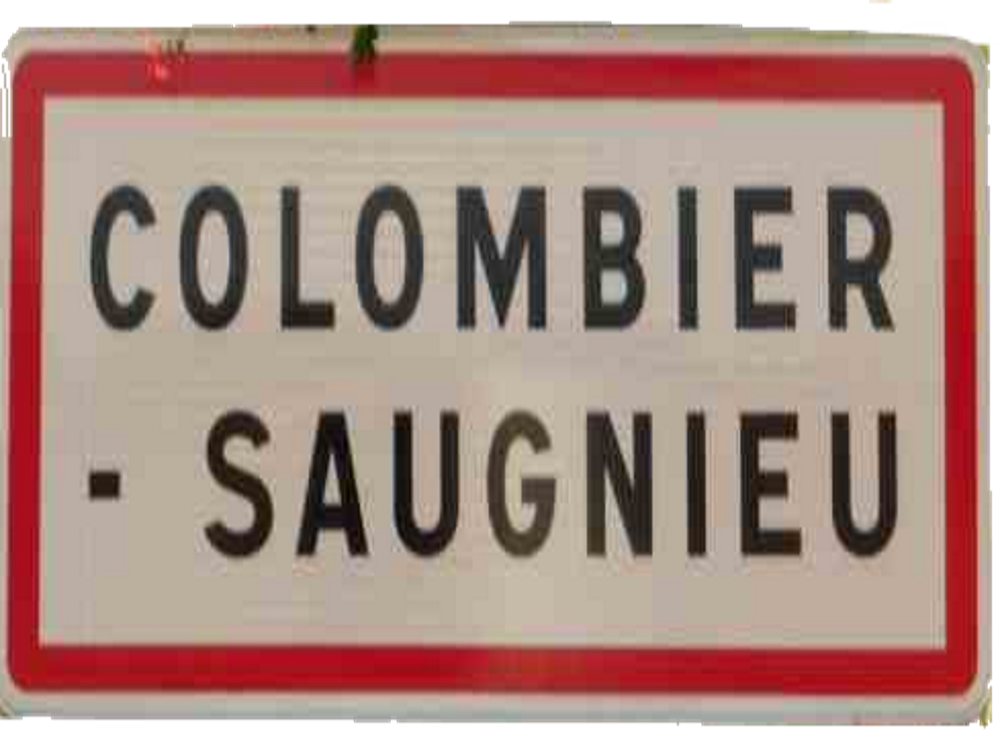 COLOMBIER-SAUGNIEU | 2 gros événèments en novembre