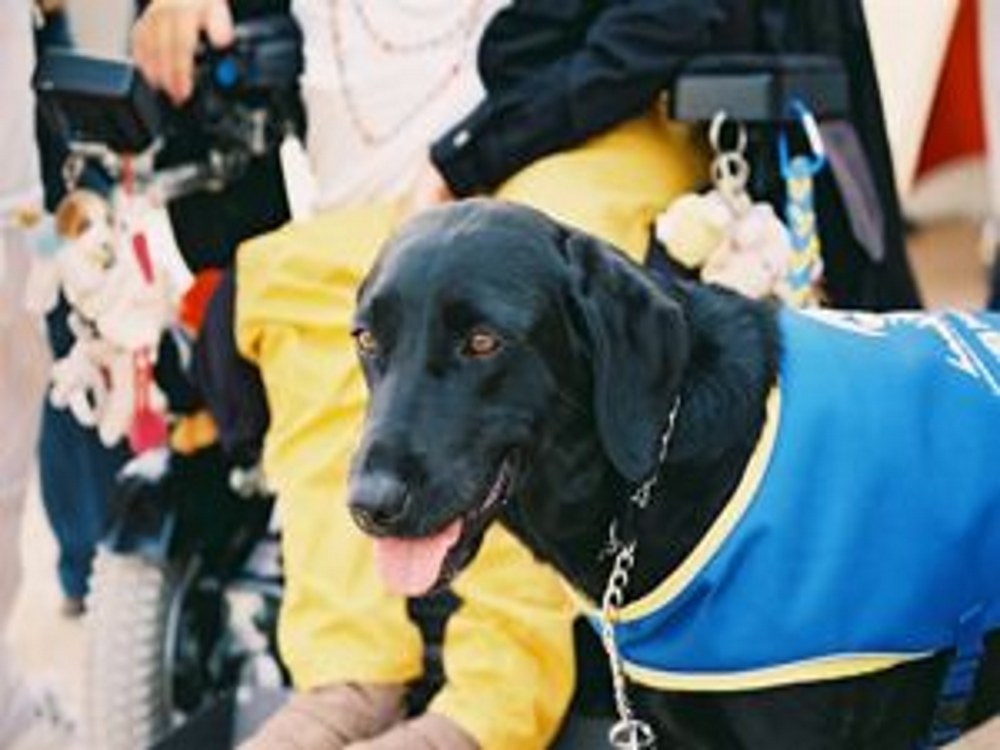 BALAN | Le chien d’assistance en démonstration au Téléthon