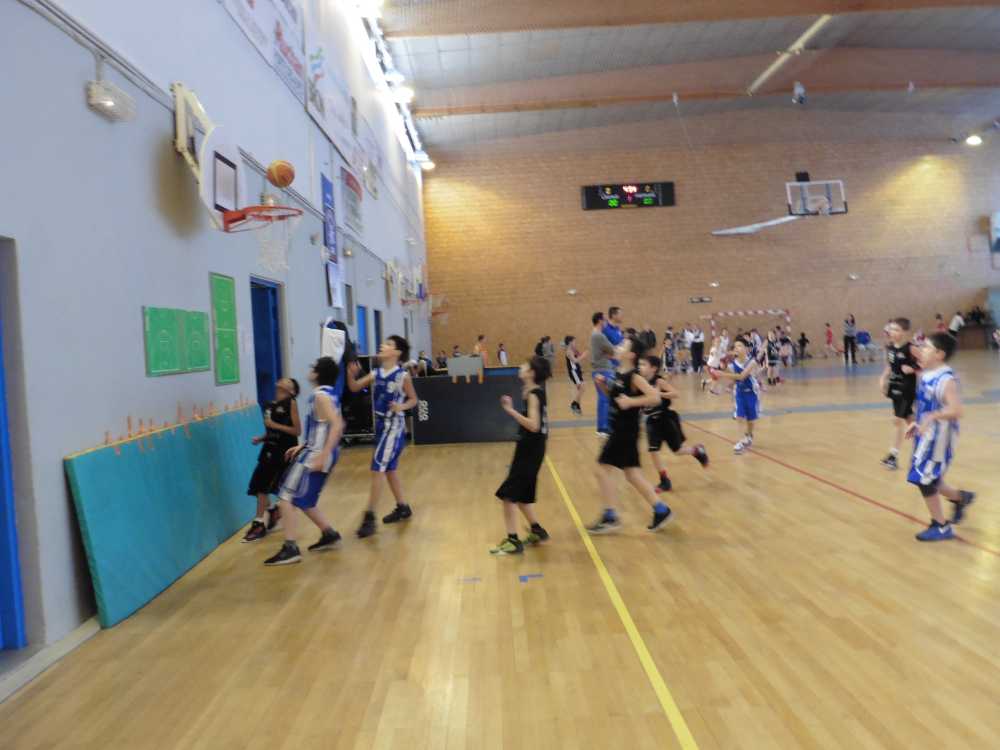 BRON Basket | 26 équipes au 4° tournoi jeunes Antoine Muguet