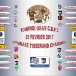 NEWSESTLYONNAIS – CDFCtournoi U8_U9