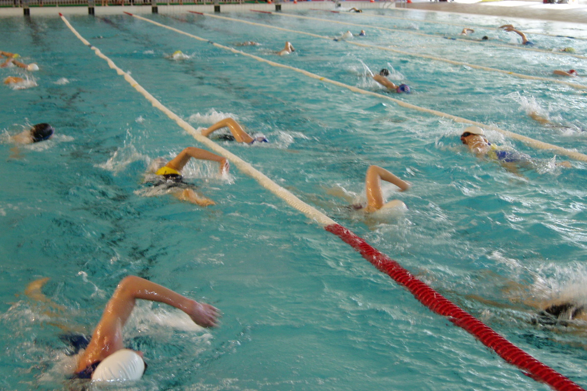 VILLEURBANNE | Journée régionale natation Handi