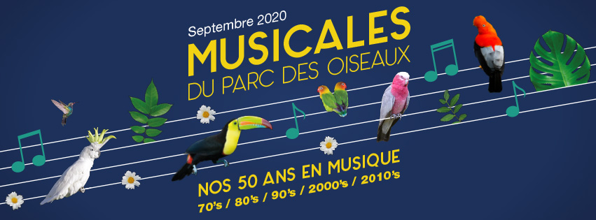 AIN | Musicales du Parc des oiseaux > 1° concert post confinement