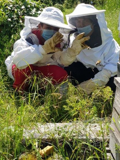 Vaulx-en-Velin | ASSociation APIcole vaudaise > disponible pour récupérer des essaims d’abeilles