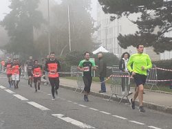 Dernière rue avant l'entrée dans le stade