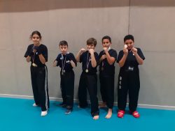 NEWSESTLYONNAIS BUNKAI