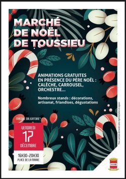 NEWSESTLYONNAIS MARCHE TOUSSIEU
