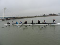 NEWSESTLYONNAIS – HUIT AVIRON DECINOIS