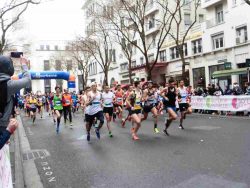 NEWSESTLYONNAIS – FOULEES 2017