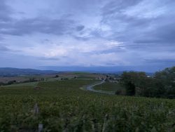 !cid_3886914219974279300337536