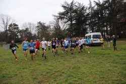 331095587_895555521714052_2117131345119825313_n