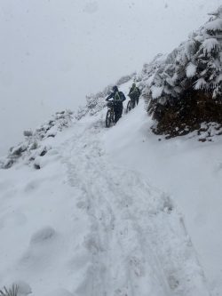 !cid_186982f7e685ea584ec3