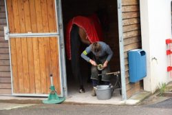 !cid_F9E8CE0D-75AA-434E-B739-C2AD44D8A6B2@home