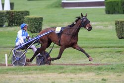 !cid_2716DCBB-A7C3-438F-A817-11F100732787@home