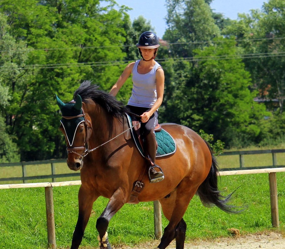 Sara Marcelin « Au fur et à mesure le contact avec les chevaux s’est imposé naturellement »
