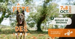 382842282_713941917426862_7420617050000764782_n