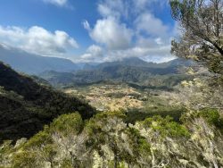 IMG_3250_Comp